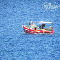 фото из отзыва ID 1913060