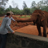 фото из отзыва ID 1912342