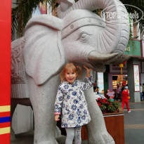 фото из отзыва ID 1912342