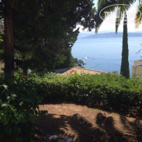 фото из отзыва ID 1913186