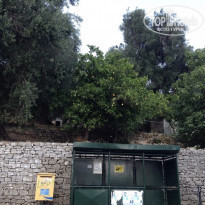 фото из отзыва ID 1913186