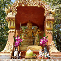 фото из отзыва ID 1913260