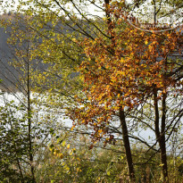 фото из отзыва ID 1913215