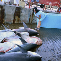 фото из отзыва ID 1913253