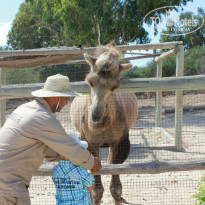 фото из отзыва ID 1913264