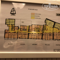 фото из отзыва ID 1913312