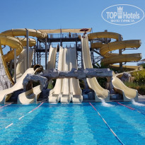 фото из отзыва ID 1913348