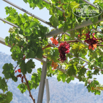 фото из отзыва ID 1912308