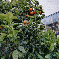 фото из отзыва ID 1913395