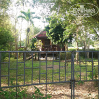 фото из отзыва ID 1913421