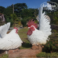 фото из отзыва ID 1913421