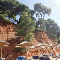 фото из отзыва ID 1913476