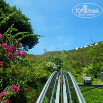 фото из отзыва ID 1913516