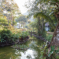 фото из отзыва ID 1913521