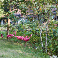 фото из отзыва ID 1913521