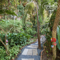 фото из отзыва ID 1913521