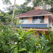 фото из отзыва ID 1913521