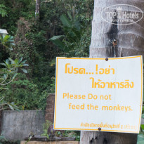 фото из отзыва ID 1913521