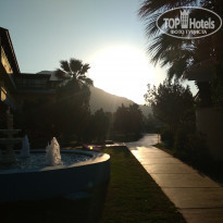 фото из отзыва ID 1913524