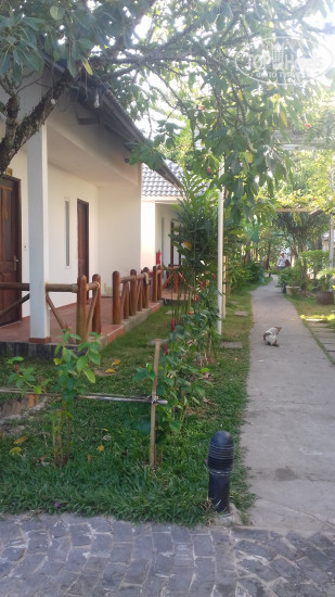 Hotel photo White Lotus Resort 3*