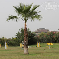 фото из отзыва ID 1913456