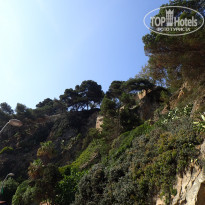 фото из отзыва ID 1913632