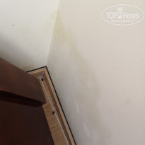 фото из отзыва ID 1913793