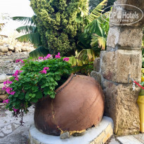 фото из отзыва ID 1913930