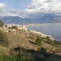 фото из отзыва ID 1914014