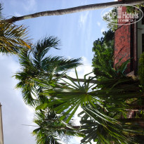 фото из отзыва ID 1914055