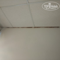 фото из отзыва ID 1914087