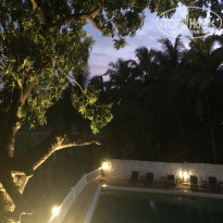 фото из отзыва ID 1914137