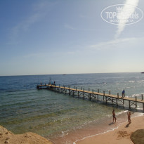 фото из отзыва ID 1914223