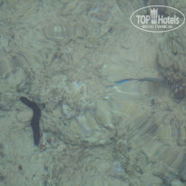 фото из отзыва ID 1914223