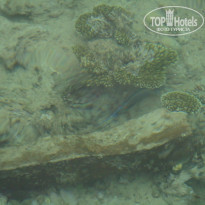 фото из отзыва ID 1914223