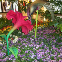 фото из отзыва ID 1914255