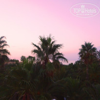 фото из отзыва ID 1914333