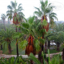 фото из отзыва ID 1914333