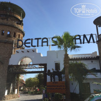 фото из отзыва ID 1914359