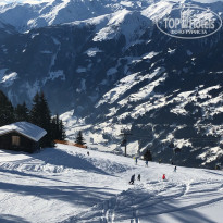 фото из отзыва ID 1914340