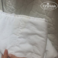 фото из отзыва ID 1914415