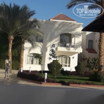 фото из отзыва ID 1914494