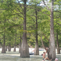 фото из отзыва ID 1914568