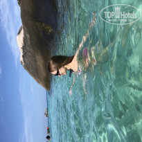 фото из отзыва ID 1914672