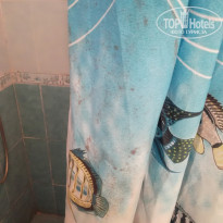 фото из отзыва ID 1914724