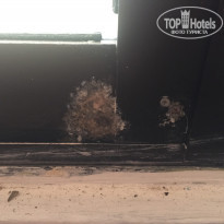 фото из отзыва ID 1914735