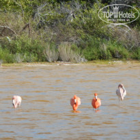 фото из отзыва ID 1914735