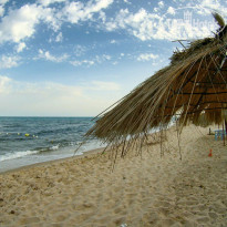 фото из отзыва ID 1914707