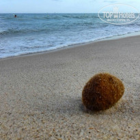 фото из отзыва ID 1914707