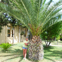 фото из отзыва ID 1914827